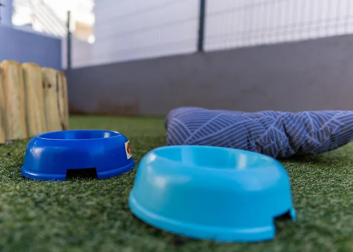 Floreani By Interhome Vir